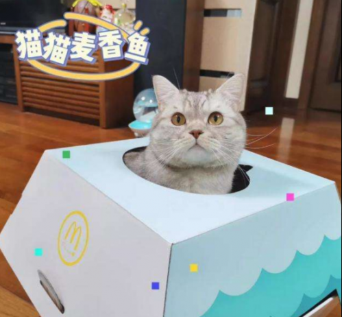 一些和猫相关的设计432