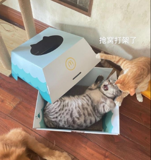 一些和猫相关的设计468