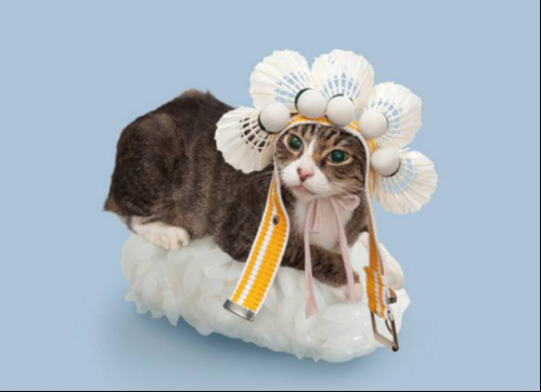 一些和猫相关的设计729