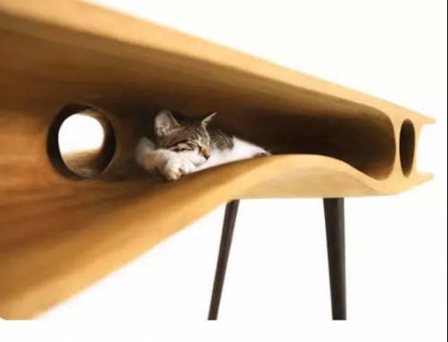 一些和猫相关的设计743