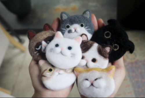 一些和猫相关的设计764