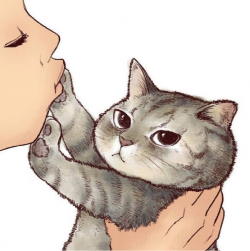 一些和猫相关的设计797