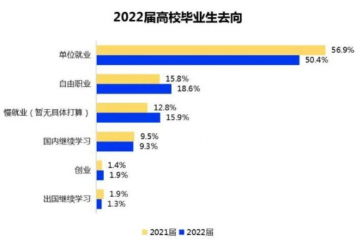 2022大学生就业力调研报告