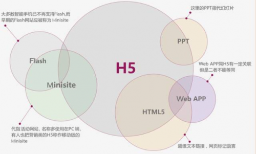 图片11