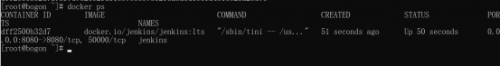 杨0627-Docker应用环境CentOS7+Docker+Jenkins (1)981